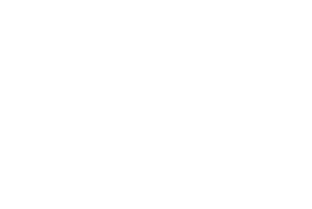 logo light